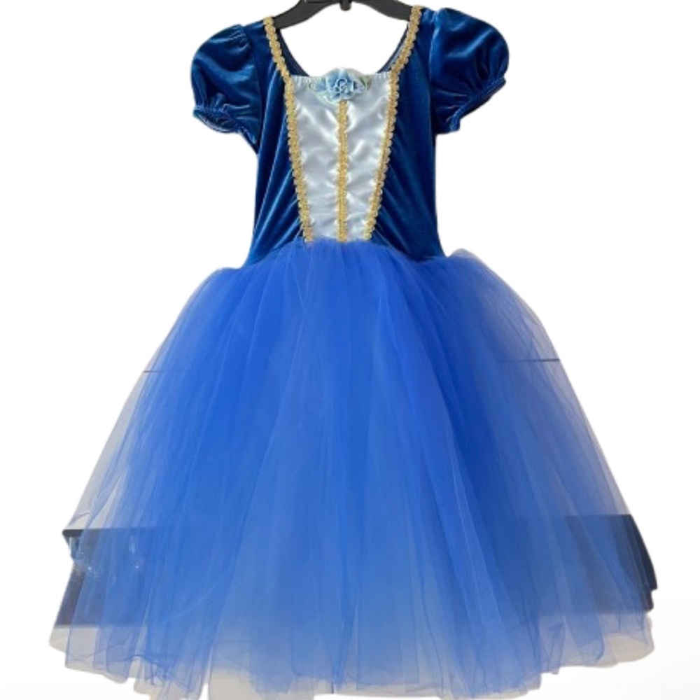 Wish Come True Princess Costume Halloween Tulle Ballet Dance Ballerina 11/12